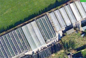 Littlefield Nursery